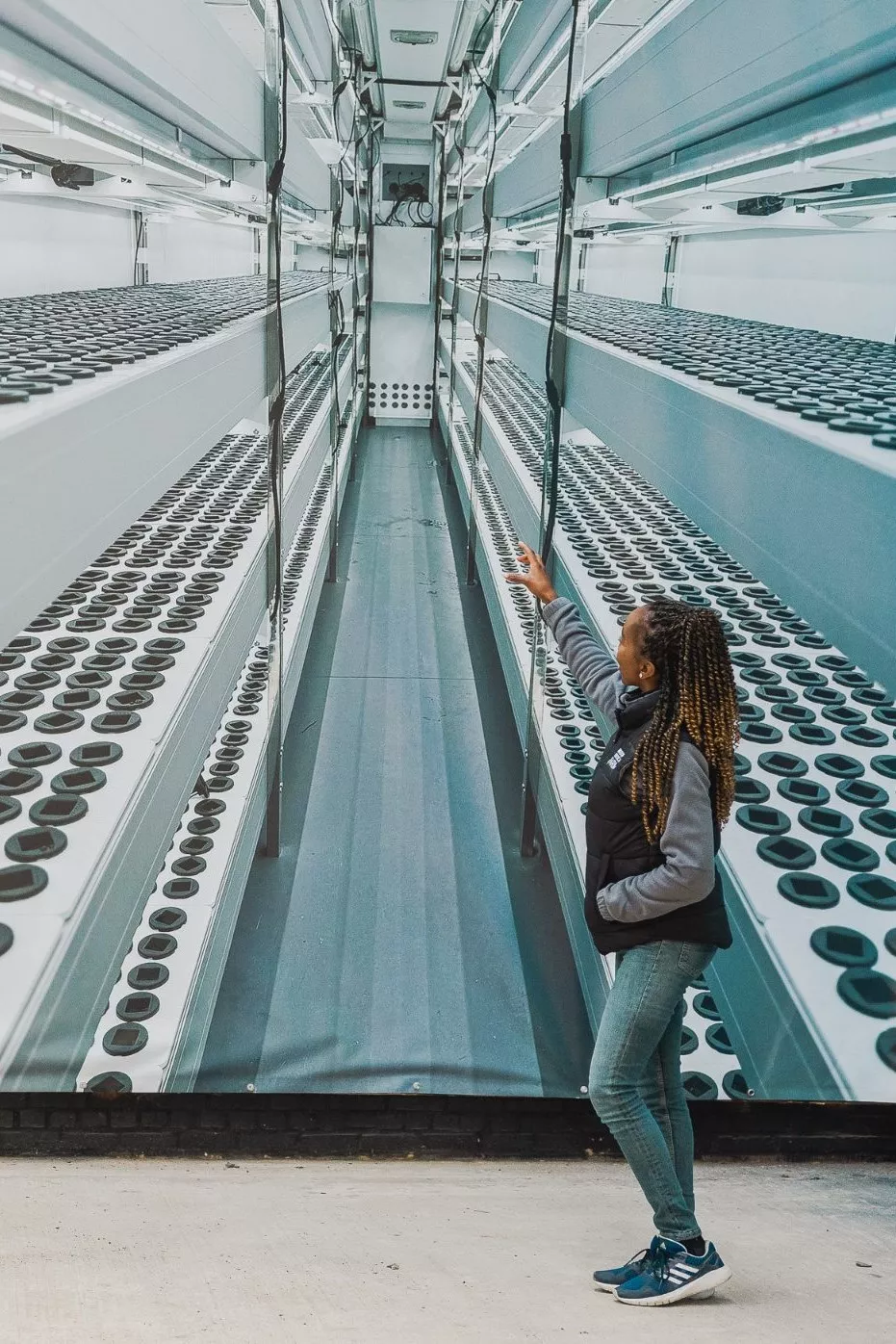 Indoor Vertical.Farm